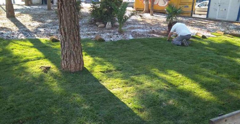 Αναπλάσεις και συντηρήσεις πρασίνου σε όλες τις γειτονιές του Πειραιά απο τη  Διεύθυνση Περιβάλλοντος και Πρασίνου