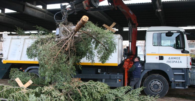 Ανακύκλωση φυσικών Χριστουγεννιάτικων δέντρων από τον Δήμο Πειραιά