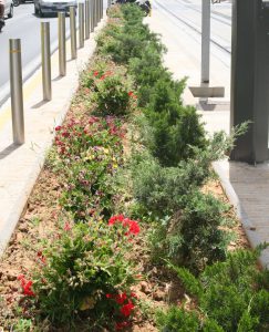 Αναπλάσεις πρασίνου και φυτεύσεις εποχιακών λουλουδιών από τον Δήμο Πειραιά