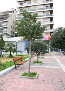 Συντονισμένη επιχείρηση καθαρισμού και εξωραϊσμού πλατειών από τον Δήμο Πειραιά