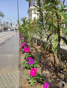 Αναπλάσεις πρασίνου και φυτεύσεις εποχιακών λουλουδιών από τον Δήμο Πειραιά