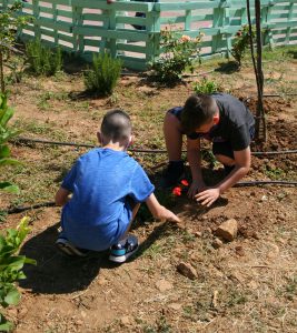 Φυτεύσεις  από μαθητές Δημοτικών Σχολείων του Πειραιά  με αφορμή την  Παγκόσμια Ημέρα Περιβάλλοντος