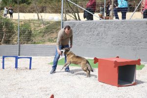 Δεκάδες φιλόζωοι και οι τετράποδοι φίλοι τους στα εγκαίνια του τρίτου Δημοτικού Πάρκου Κοινωνικοποίησης και Άθλησης σκύλων στον Πειραιά
