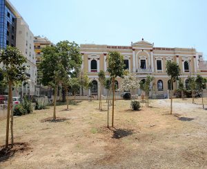 Ανάπλαση πρασίνου και φύτευση σαράντα δέντρων στο οικόπεδο  απέναντι από τη Δημοτική Πινακοθήκη Πειραιά