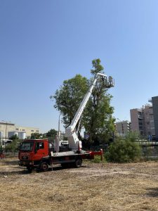 Μεγάλη παρέμβαση καθαρισμού σε οικόπεδο στο Νέο Φάληρο  από τον Δήμο Πειραιά