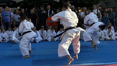 slider-epideijsh-sotokan-karate