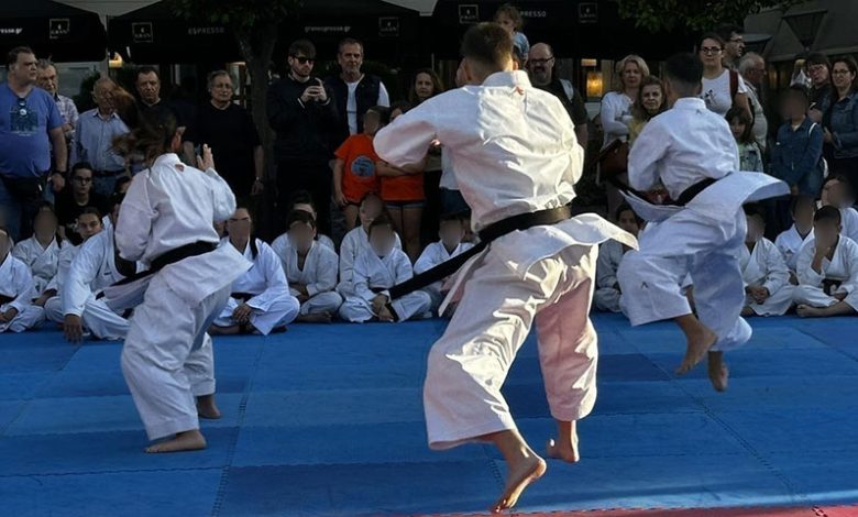 slider-epideijsh-sotokan-karate